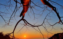 La météo du vendredi 17 février 2023 en Corse