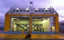 Prévention de l’introduction en Corse de la Xylella Fastidiosa