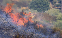 Incendie d'Albertacce : 45 hectares, déjà, ravagés