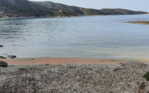 Des milliers de krills s'échouent sur la plage de Fiume Santu dans l'Agriate