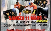 Lucciana : Le grand rendez-vous annuel du Kick Boxing de retour