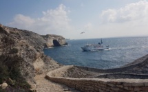 La photo du jour : l'Ichnusa à bon port