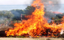 Incendies : 15 hectares détruits sur les hauteurs de Ghisoni