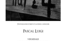 Pascal Luigi à la Gallery 109