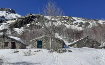 La photo du jour : Les bergeries de Capanelle
