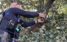 En Corse les forces de l'ordre traquent les dépôts sauvages...et les fautifs