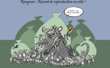 Battì : i topi sont dans la ville