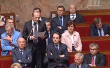L'énergie et le développement durable de la Corse en question à l'Assemblée Nationale