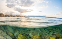 La photo du jour : image insolite d'Ajaccio