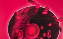 Livres : "Globule, le voyageur rouge" de Josette Dall'Ava-Santucci