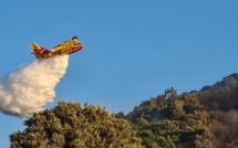 Dispositif feux de forêt 2023 : "en Corse, il faudrait des moyens toute l'année"