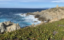 La météo du mardi 18 avril 2023 en Corse