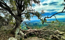 La météo du mercredi 19 avril 2023 en Corse