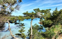 La photo du jour : magnifique Rondinara