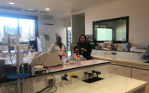 Environnement : Comment le vignoble corse s'adapte au réchauffement climatique ?