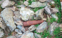 Un promeneur découvre un obus de la seconde guerre mondiale à Morosaglia