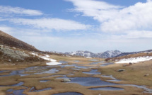 La photo du jour : les pozzine du plateau d'Ese au printemps 