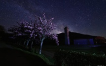 La photo du jour : les cerisiers du Japon en fleur à Carbini
