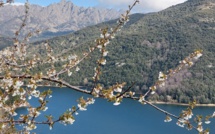La météo du lundi 8 mai 2023 en Corse