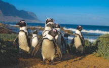 Voyages - Notre top 7 des meilleures destinations d’Afrique !