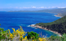 La photo du jour : superbe Capu di Muru