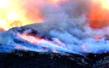 Incendies en Corse : la nouvelle "Météo des forêts" lancée ce vendredi, comment ça marche ?