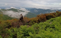 La météo du lundi 5 juin 2023 en Corse