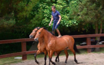 Corte : 28e édition de Cavall’in Festa ce week-end