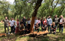 La Sylvacoop et la société Diam travaillent au nouvel avenir du liège Corse 