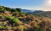 La Fondation du patrimoine alloue 15 000€ au sentier botanique de Corbara