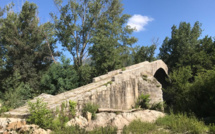 La photo du jour : Spin'a Cavallu