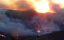 Un violent incendie se développe à Speloncato : 30 ha déjà parcourus par les flammes