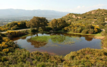 14e Tribune des jeunes chercheurs à Bastia :  la Corse à l'ère des changements globaux