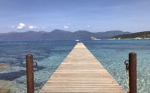 La photo du jour : magnifique Lotu