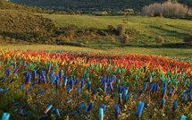 Bastia : L’exposition "Genius loci" au centre culturel Una Volta