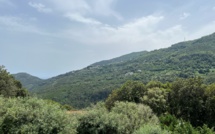 Particules fines : la Corse subit son premier épisode de pollution de l'année