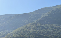 Pollution atmosphérique en Corse : légère amélioration mais des concentrations toujours élevées