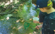 Environnement : Les écoles de Castagniccia-Casinca sensibilisées à la rivière et à la biodiversité