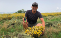 Aleria : Des huiles essentielles au service des sportifs