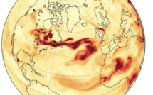 Incendies au Canada : La Corse pourrait être touchée par les fumées