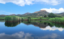 La photo du jour : Ostriconi, "ici tu es au paradis"