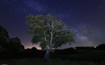 La photo du jour : sotte è stelle dans le Sartenais