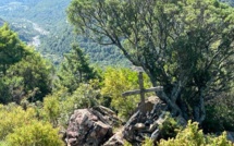 La météo du samedi 15 juillet 2023 en Corse