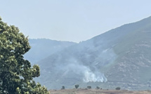 Cuttoli-Corticchiato : Un incendie ravage 5000 m2 de végétation