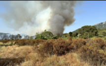  Carbuccia : un incendie détruit 4 hectares de maquis