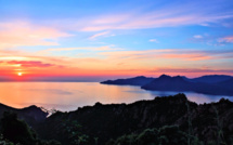 Méditerranée en surchauffe : la vie sous-marine autour de la Corse en danger 