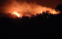 Incendie en Balagne : plus de 200 hectares brûlés, la situation s'améliore