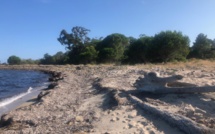 La photo du jour : la nature préservée de Chiola