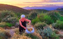 14e Rencontres d’Auddè : Un voyage botanique au cœur de la biodiversité et du changement climatique 