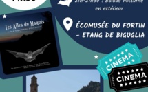 Nuits de la chauve-souris à Biguglia et St Florent